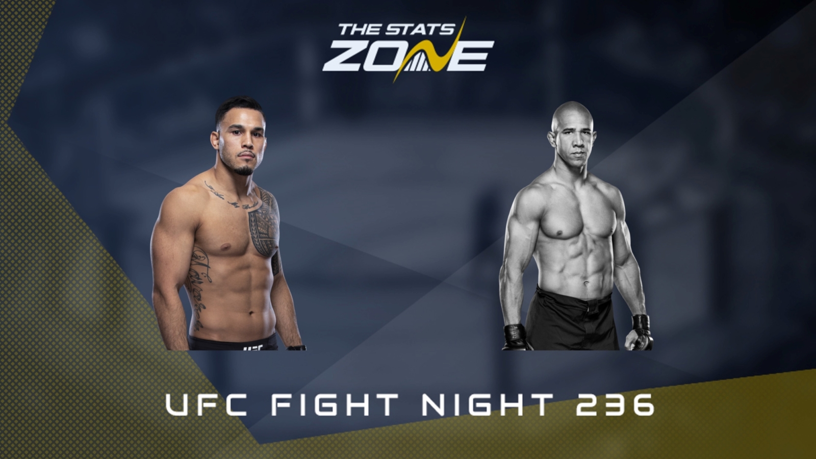 MMA Preview – Brad Tavares vs Gregory Rodrigues at UFC Fight Night 236 -  The Stats Zone