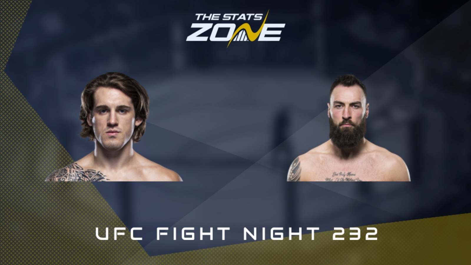 Ufc 232 stream on sale link