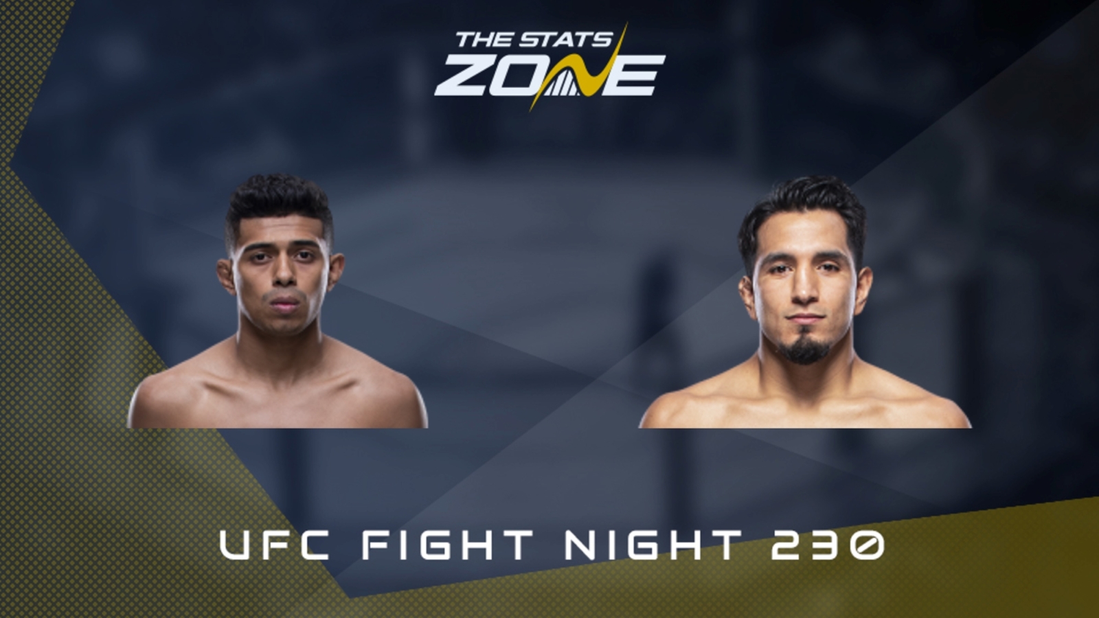 Ufc live sale stream 230