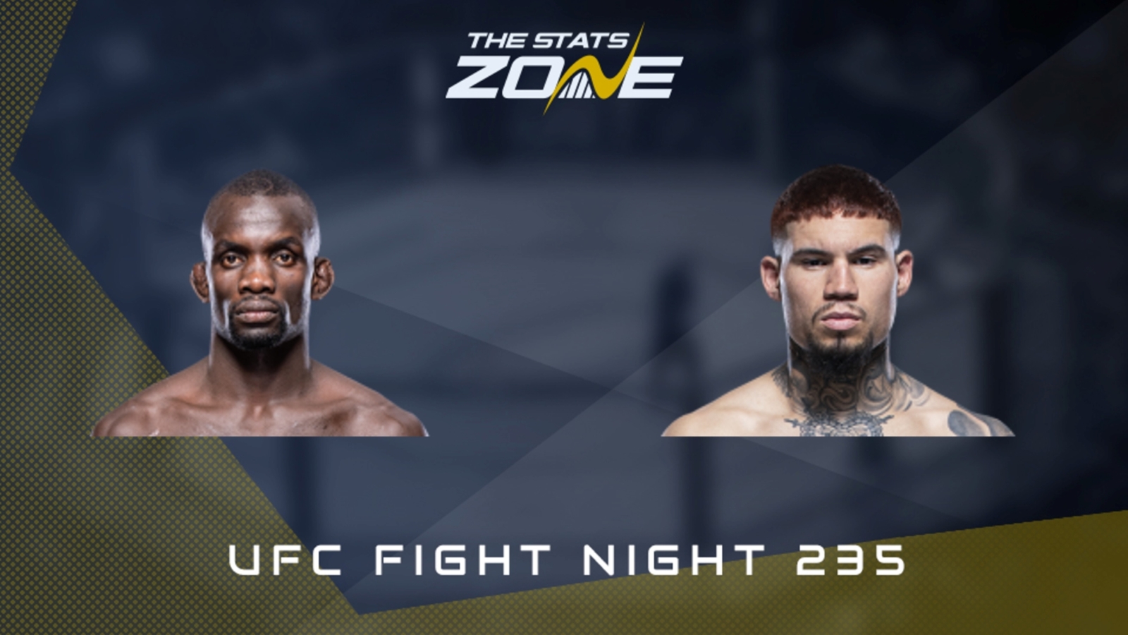 Ufc live store stream 235